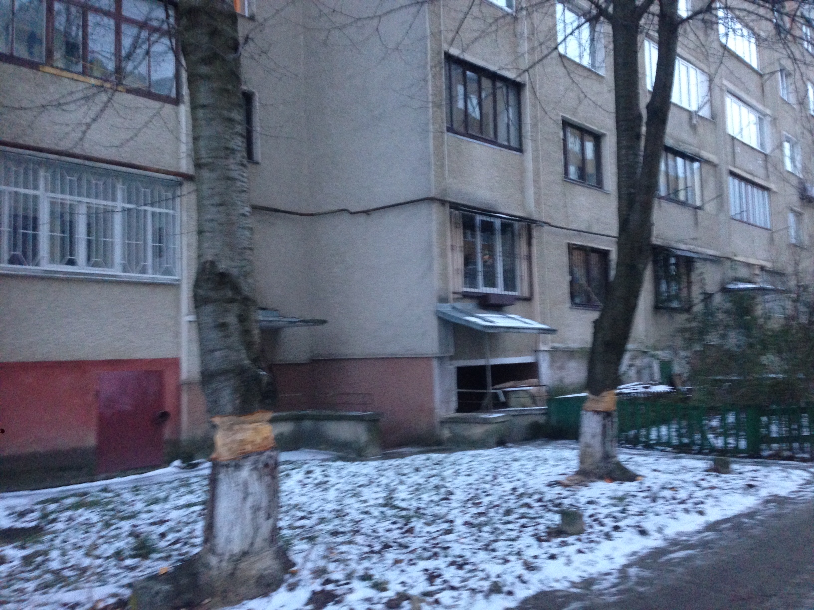 Мешканці самовільно пошкодили дерева на вулиці Хіміків, 17а