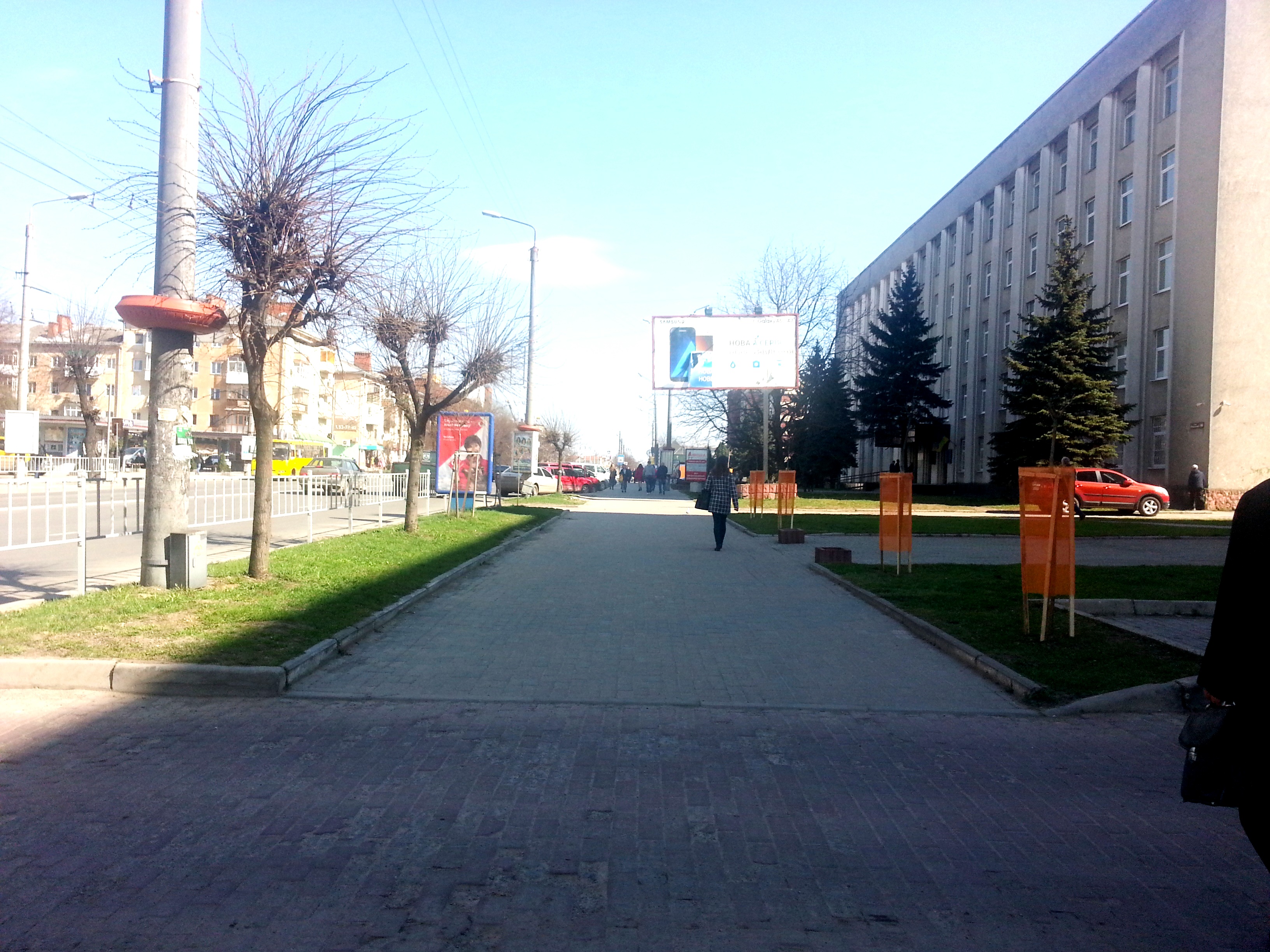 В Івано-Франківську поновили алеї кулястих кленів
