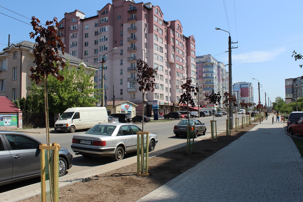 В Івано-Франківську завершилась весняна висадка дерев та кущів (ФОТО)