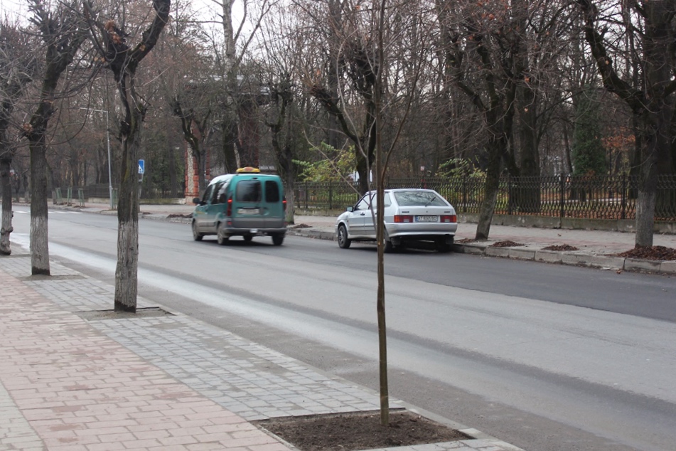 Озеленення Івано-Франківська