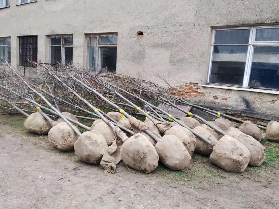 Івано-Франківськ готується до весняного озеленення (ФОТО)
