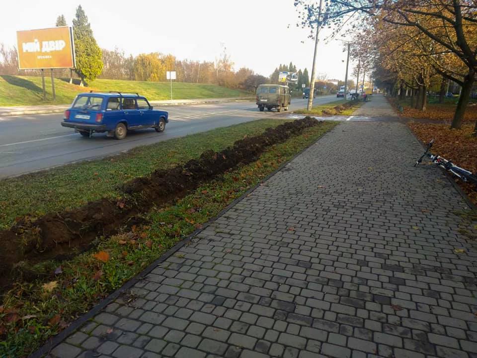 Ще трохи молодих дерев та кущів у місті