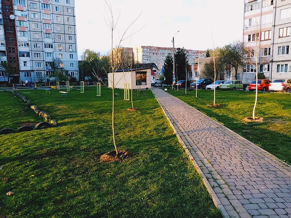 Акації, клени, платани. У Франківську висадили 330 саджанців дерев