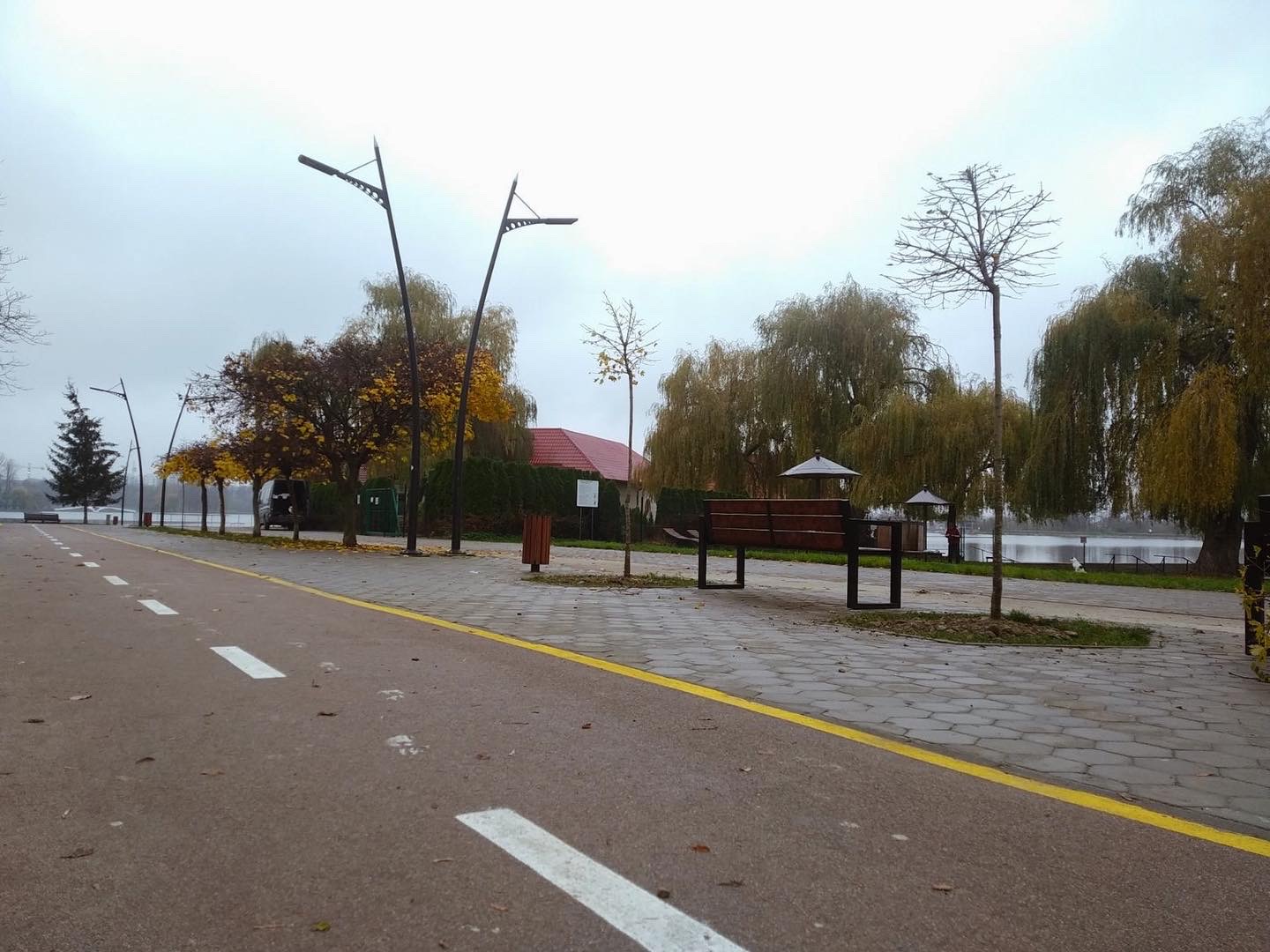 Розпочалася висадка молодих дерев навколо озера на вулиці Гетьмана Мазепи