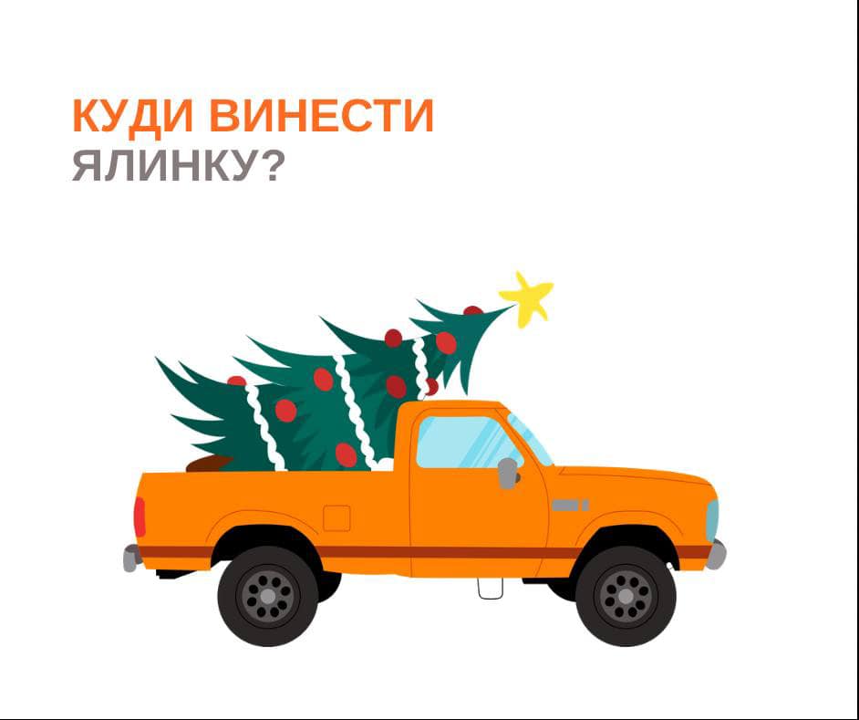Куди можна викинути новорічну ялинку в Івано-Франківську